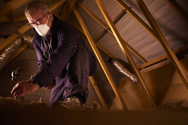 Best Specialized Insulation Services in Central, LA